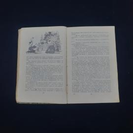 Картинка 4
