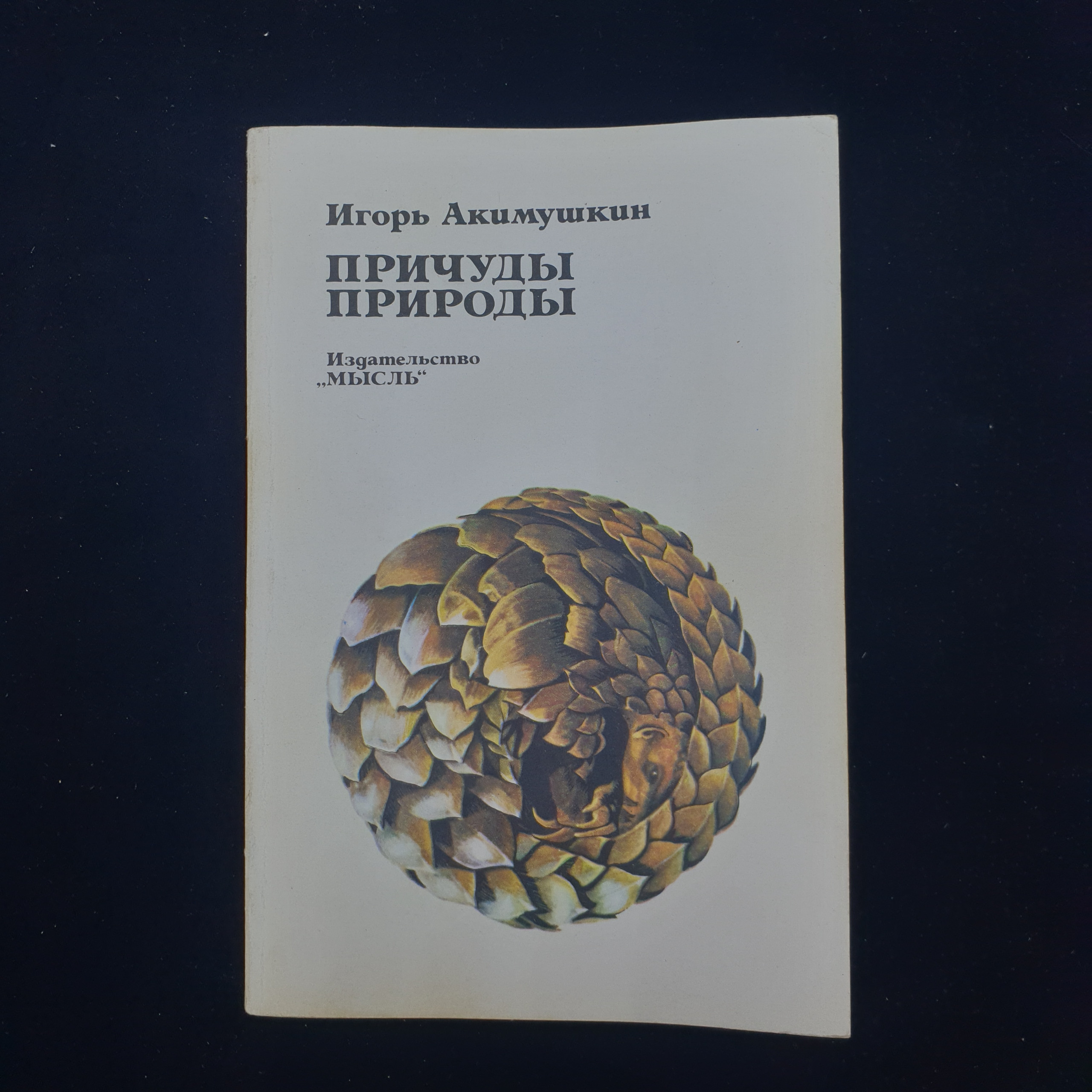 Картинка 1