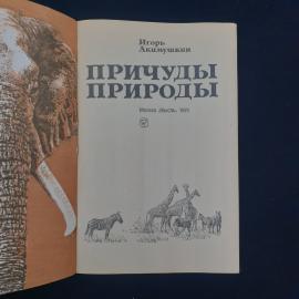 Картинка 3
