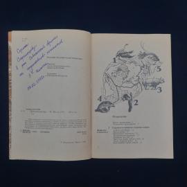 Картинка 4