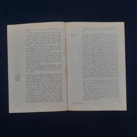 Картинка 5