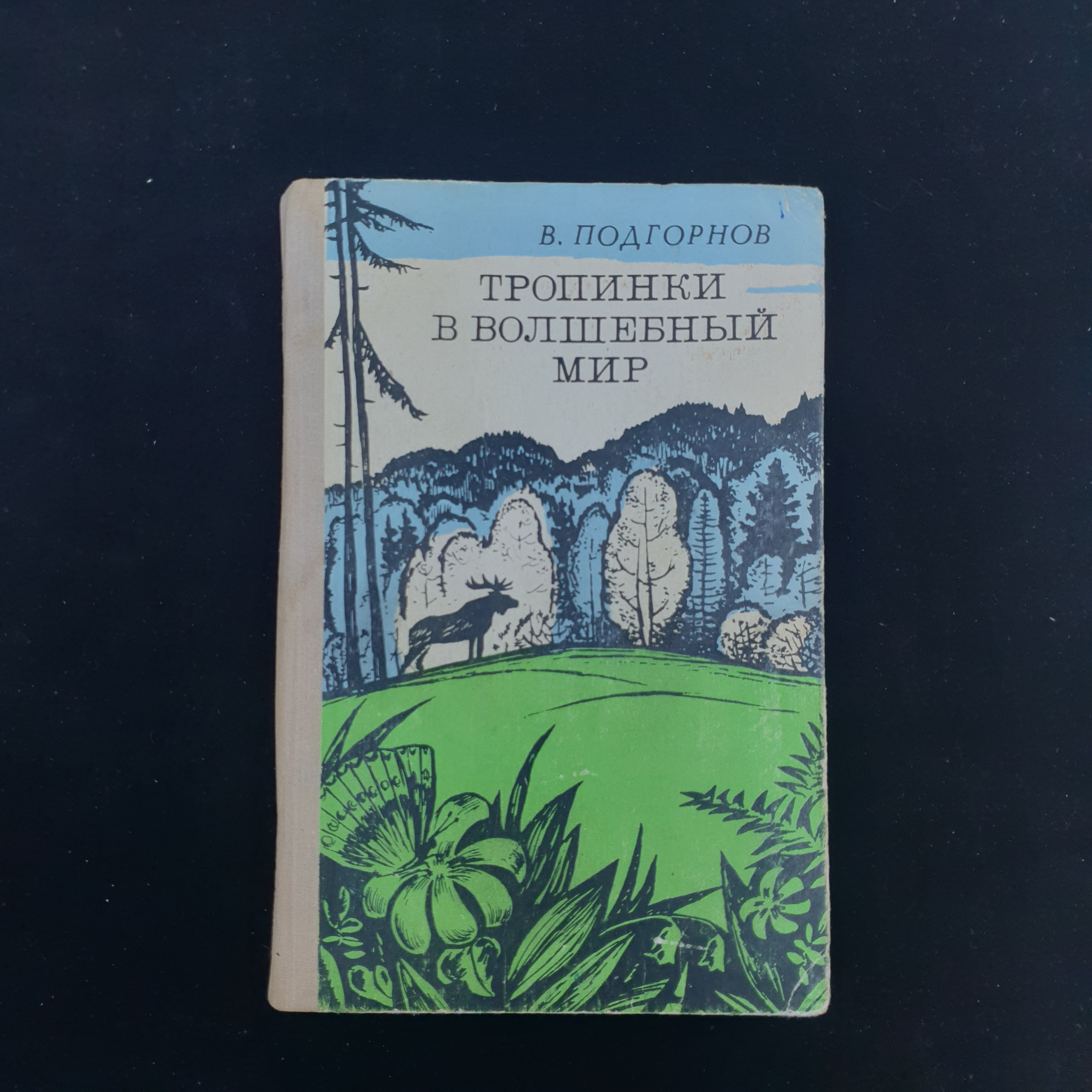Картинка 1