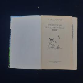 Картинка 3