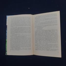 Картинка 4