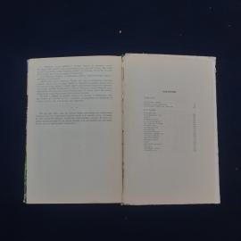 Картинка 5