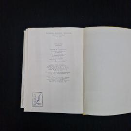 Картинка 8