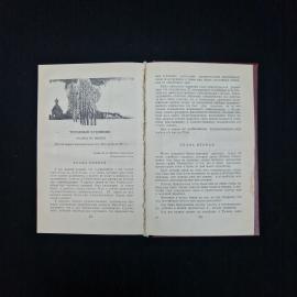 Картинка 6