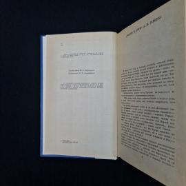 Картинка 5