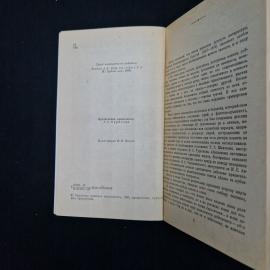 Картинка 5