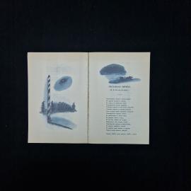 Картинка 6