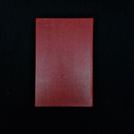 Картинка 3