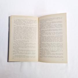 Картинка 6