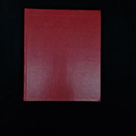 Картинка 2