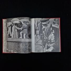 Картинка 5