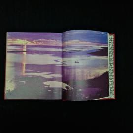 Картинка 6