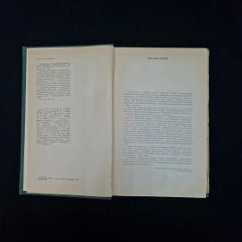 Картинка 5