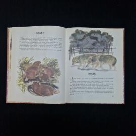 Картинка 6