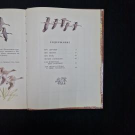 Картинка 7