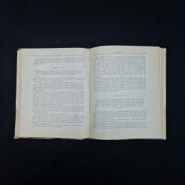 Картинка 6