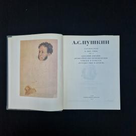 Картинка 4