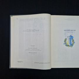Картинка 5