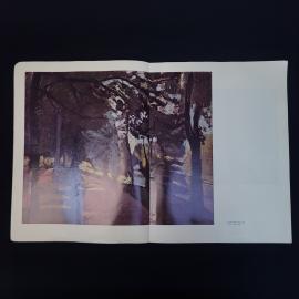 Картинка 5