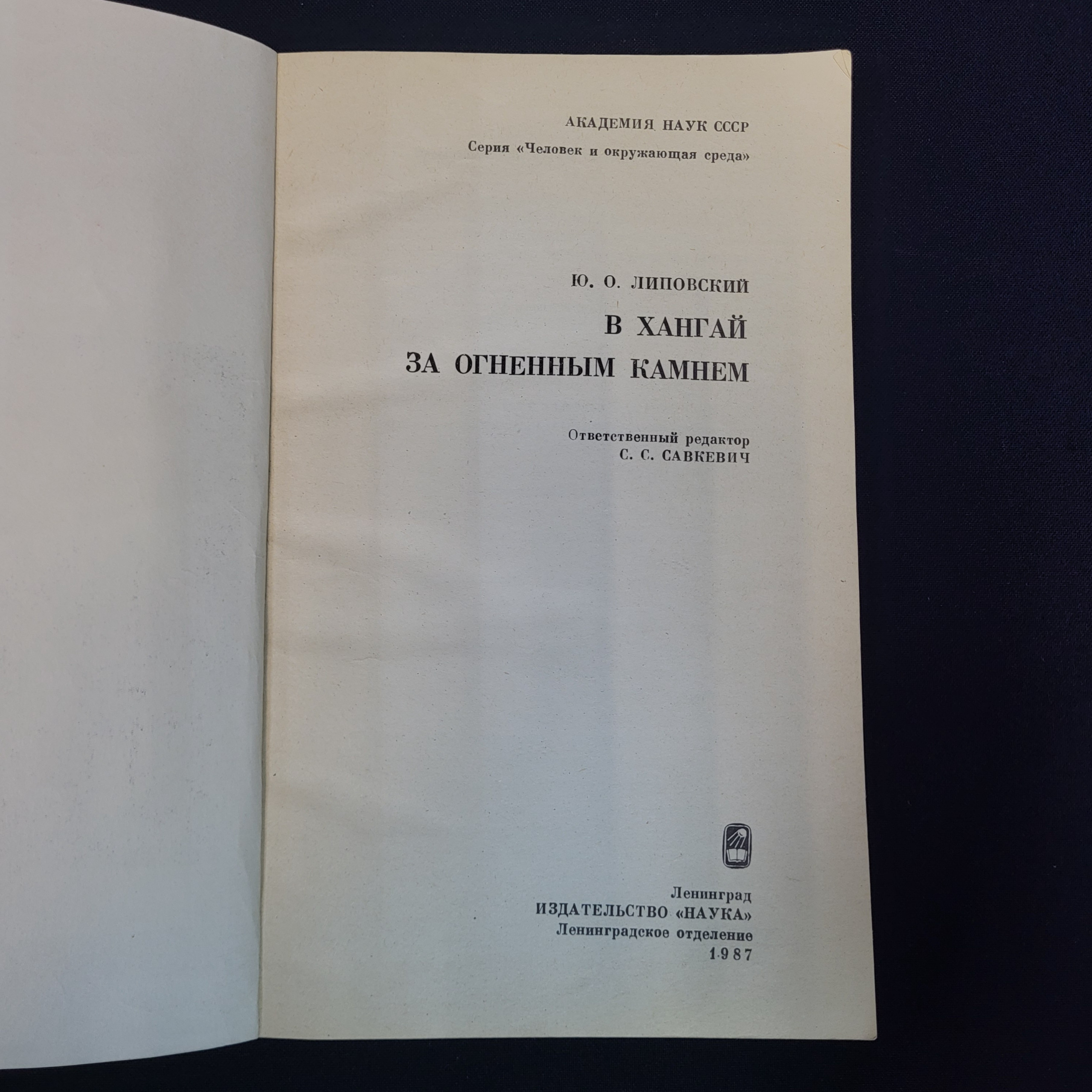 Картинка 4