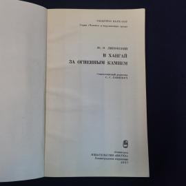 Картинка 4