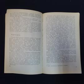 Картинка 6