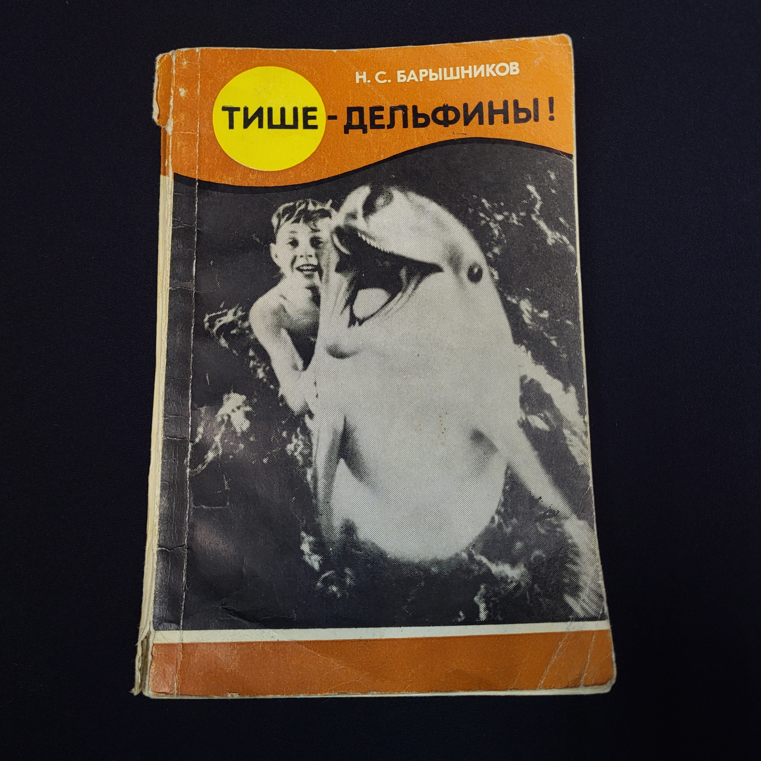 Картинка 1