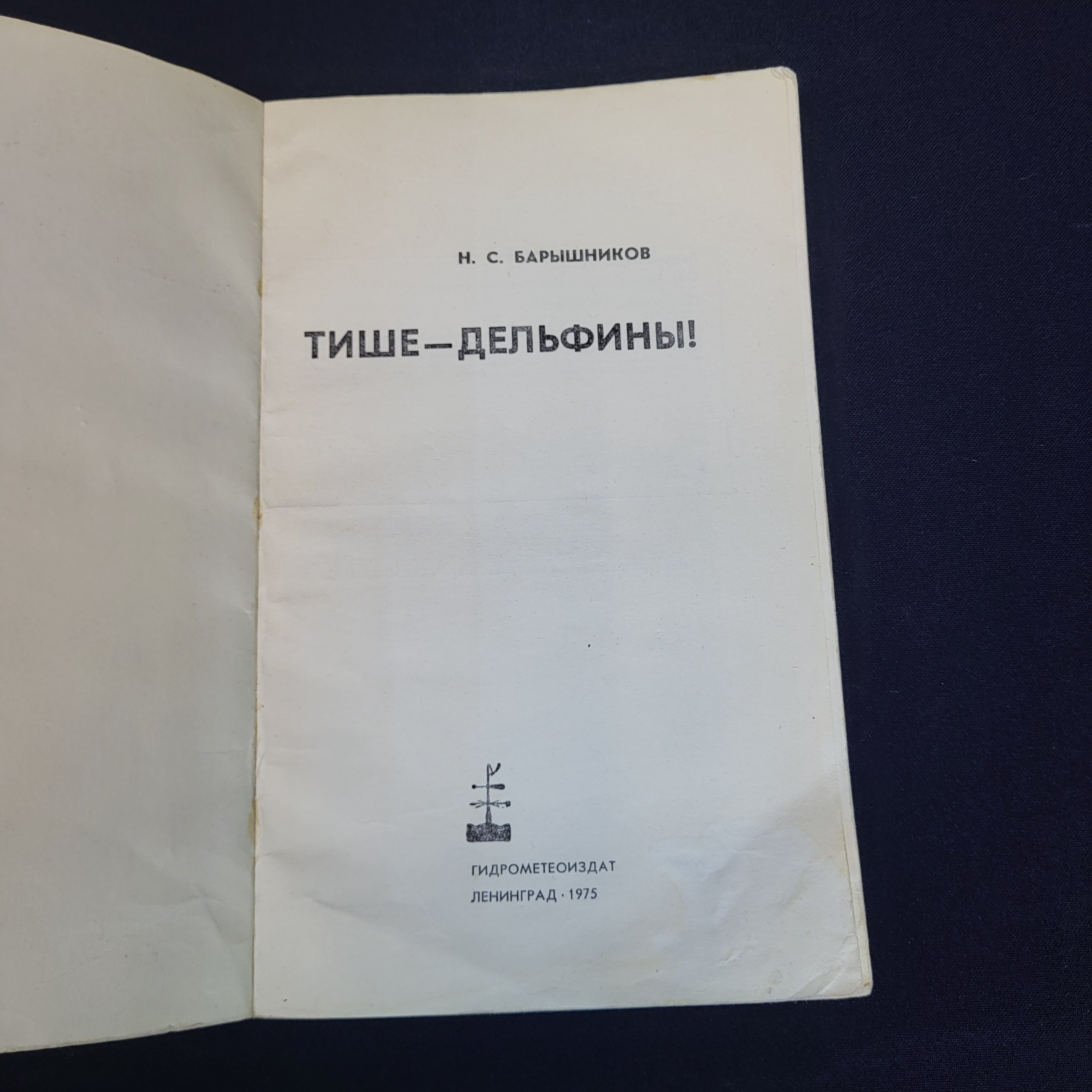 Картинка 4