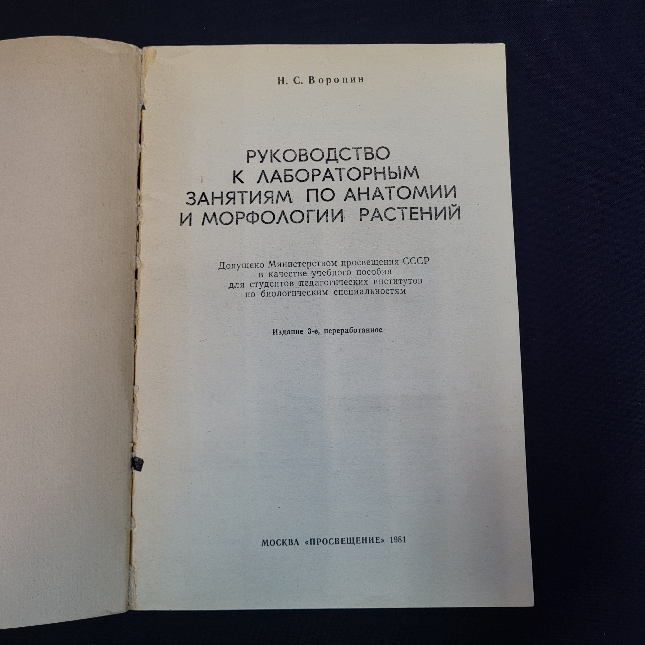 Картинка 4