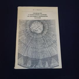 Картинка 1