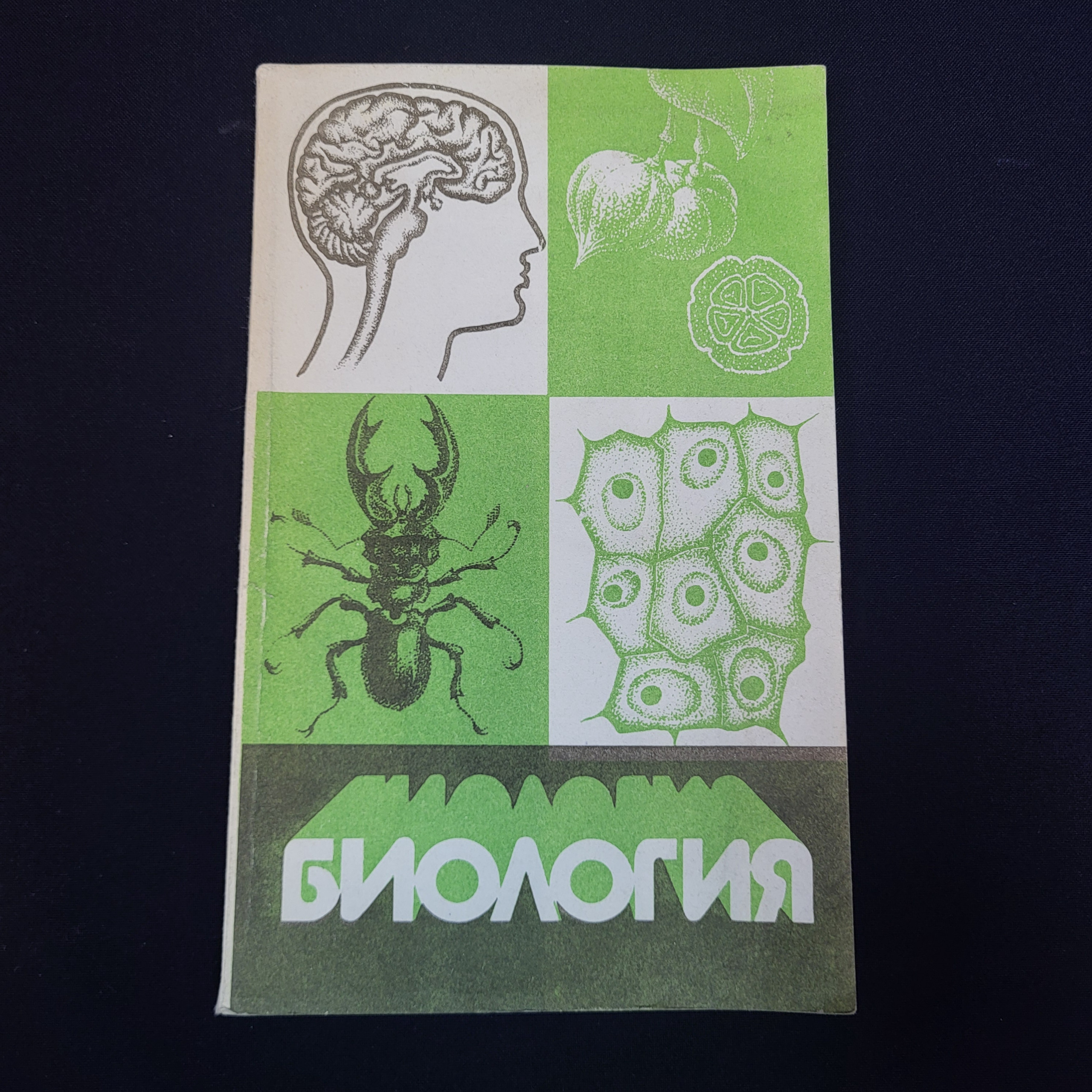 Картинка 1