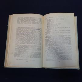 Картинка 6