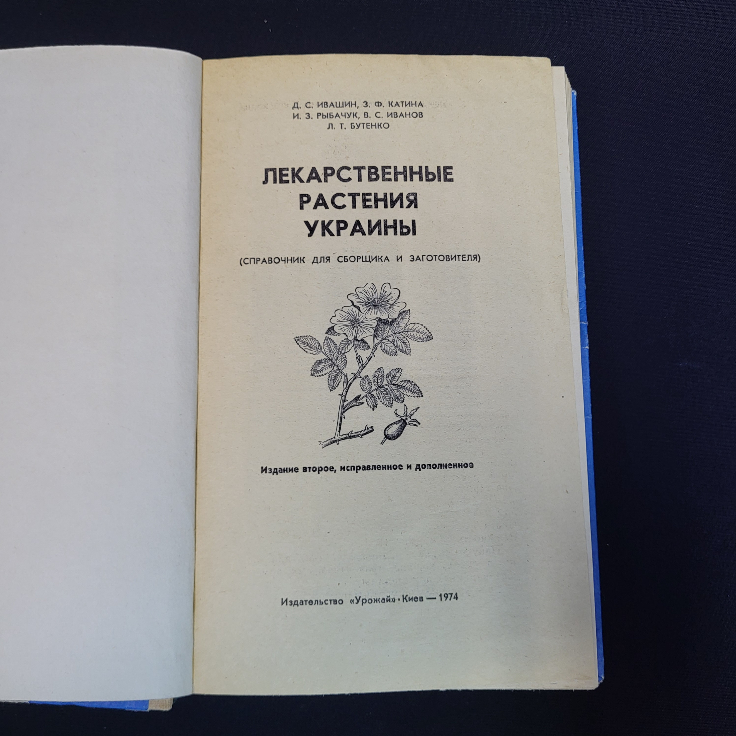 Картинка 4