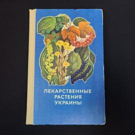Картинка 1
