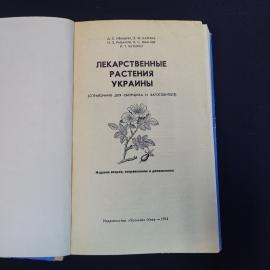 Картинка 4
