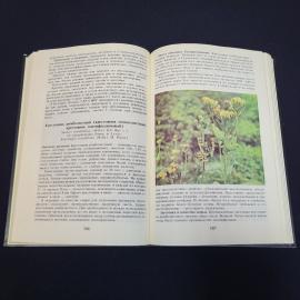 Картинка 6