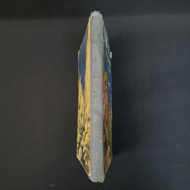 Картинка 2