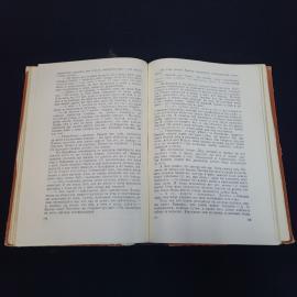 Картинка 6