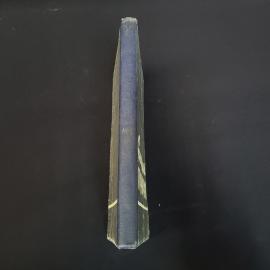 Картинка 2
