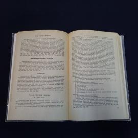 Картинка 6