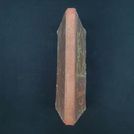 Картинка 1