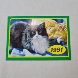 Карманный календарик 1991. Кот на фоне осенних листьев. Календарь для любителей животных.