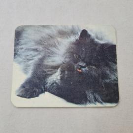 Карманный календарик 1990. Кот на фоне, забавное выражение, милый домашний любимец. Календарь винтаж