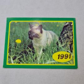 Карманный календарик 1991. Кот на траве с одуванчиком. Календарь с изображениями животных и природы