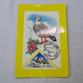 Картинка 1