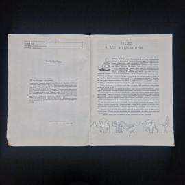 Картинка 4