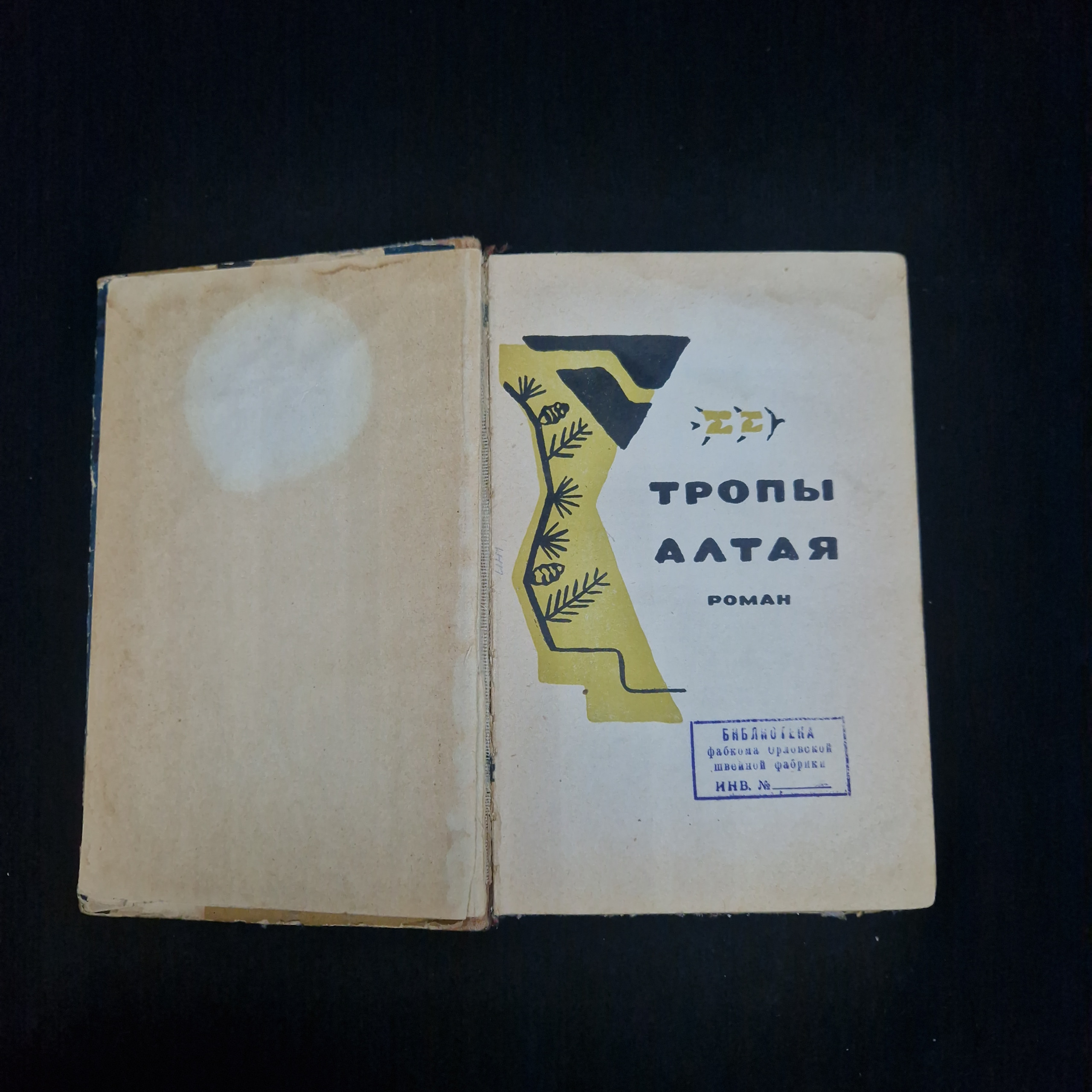 Картинка 4
